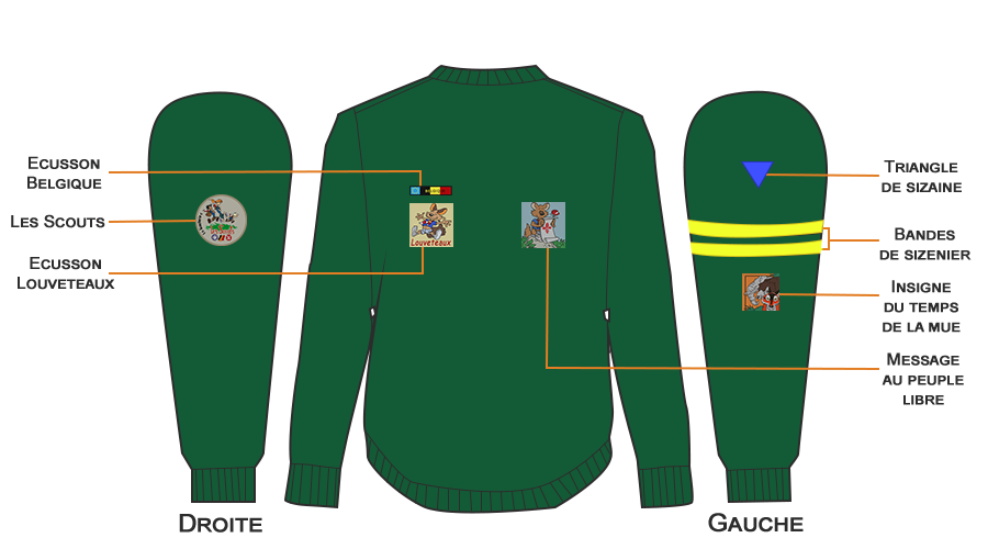Uniforme louveteau